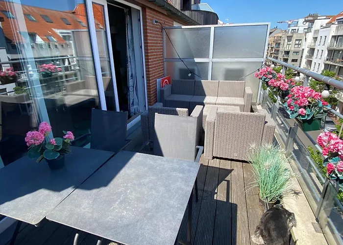 Apartment Charming Duplex